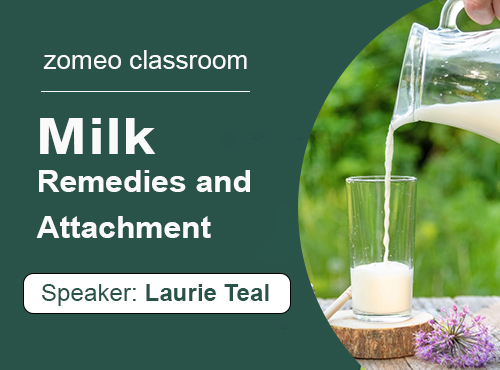 Milk Remedies and Attachment